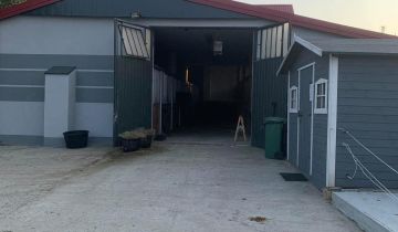 gospodarstwo Kębliny