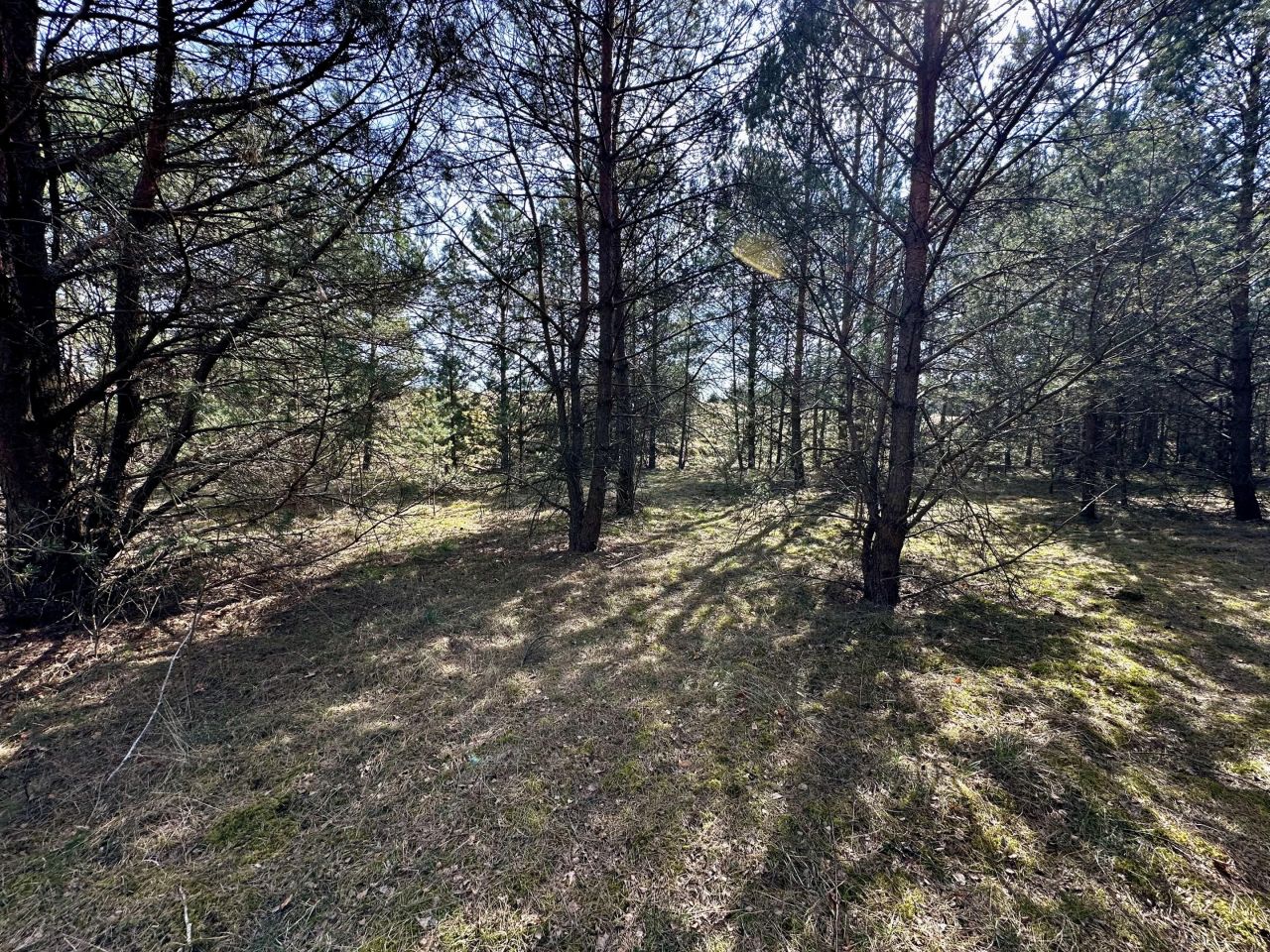 Działka budowlana Ocypel, ul. Wczasowa. Zdjęcie 6