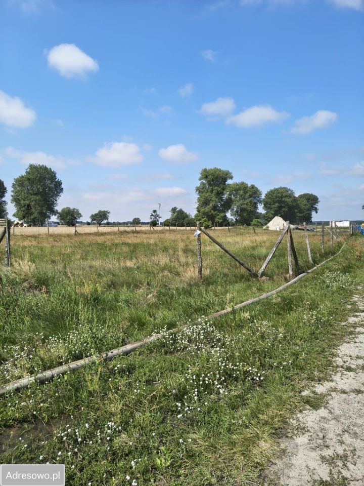 Działka budowlana Dziemionna, ul. Agaty Mróz. Zdjęcie 2