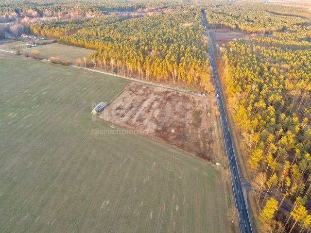 Działka inwestycyjna Ostrowina. Zdjęcie 4