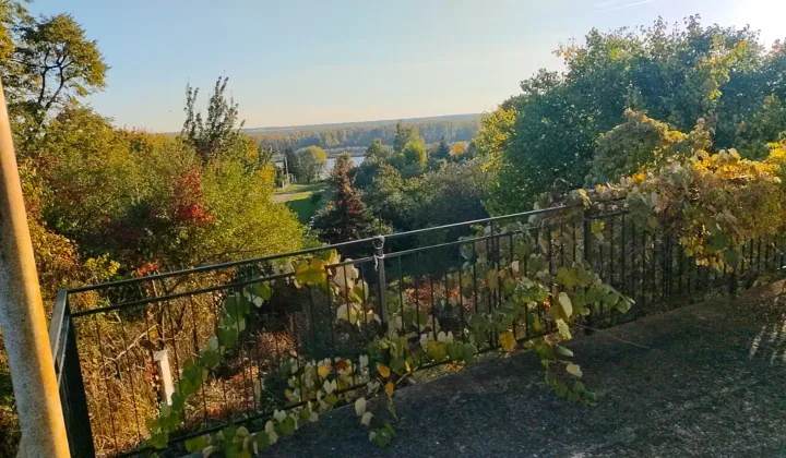 dom wolnostojący, 5 pokoi Płock, ul. Miła