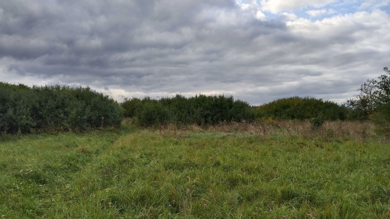 Działka rekreacyjna Dąbrowa Górnicza Błędów, ul. Turystyczna. Zdjęcie 6