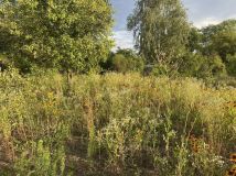 Działka rod Wrocław Muchobór Mały, ul. Francuska. Zdjęcie 1