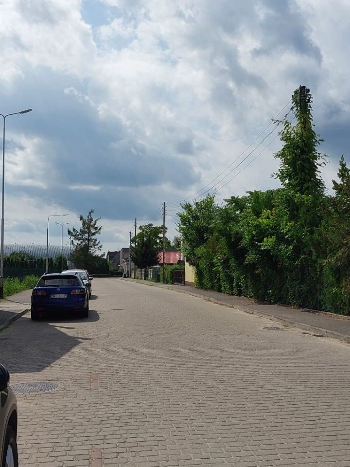 Lokal Milicz. Zdjęcie 6