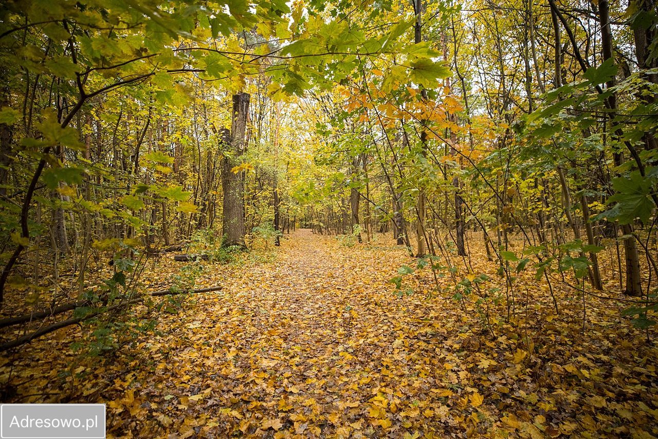 Mieszkanie 2-pokojowe Warszawa Bielany, ul. Jana Kasprowicza. Zdjęcie 16