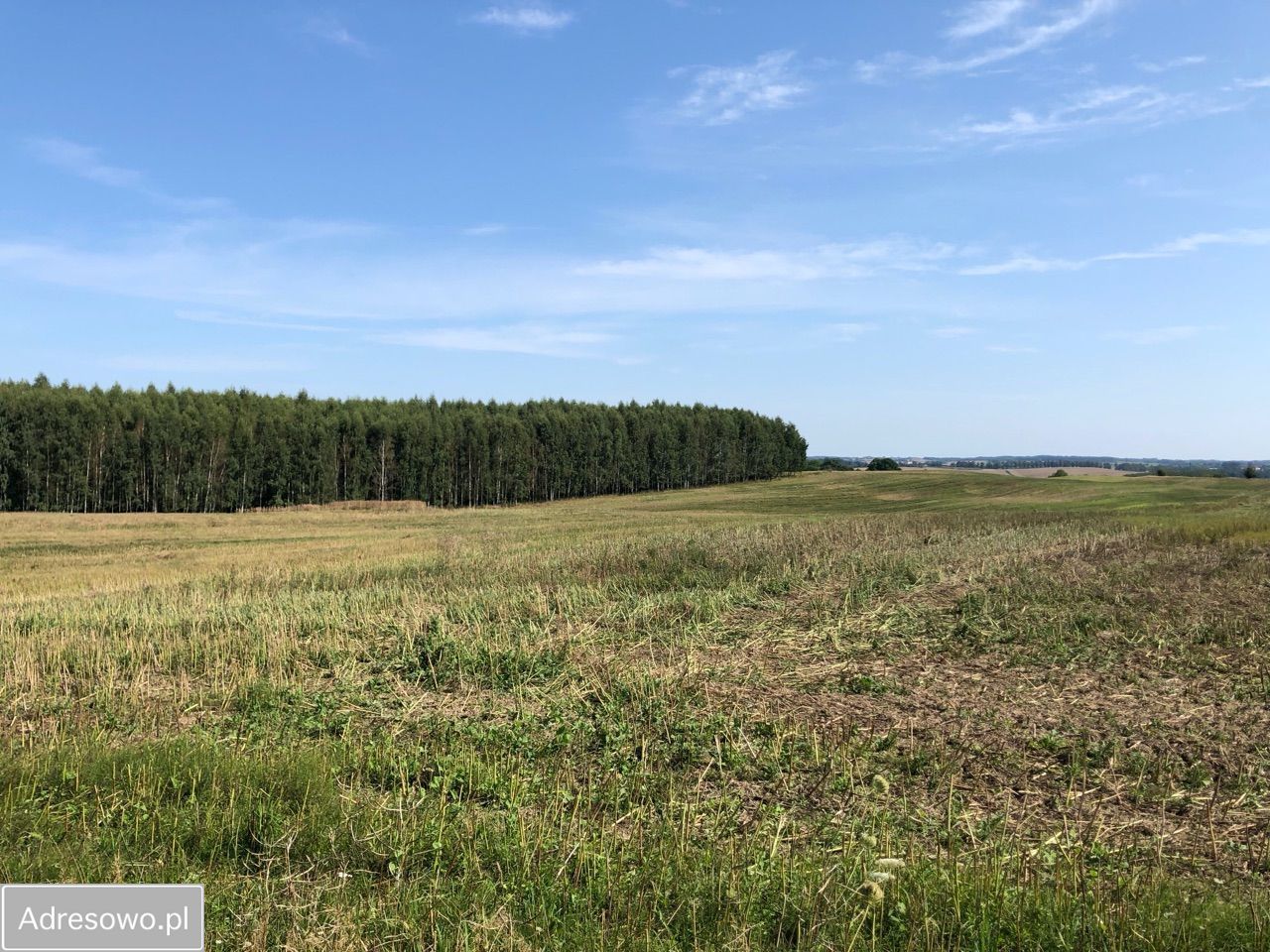 Działka rolna Lekity. Zdjęcie 16