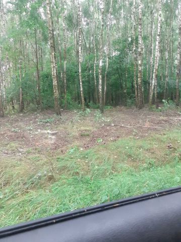 Działka leśna Ostromęczyn. Zdjęcie 1