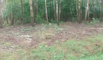Działka leśna Ostromęczyn