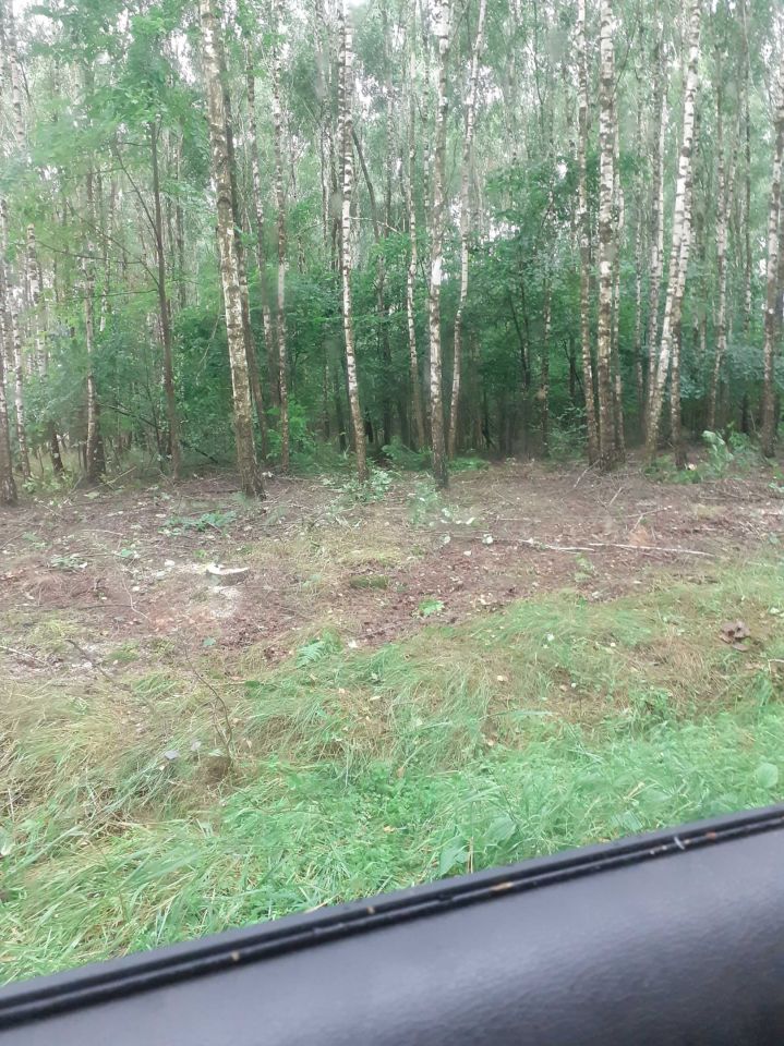 Działka leśna Ostromęczyn