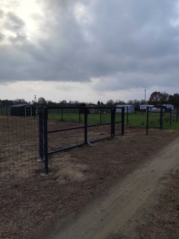 Działka rolna Gnojno. Zdjęcie 2