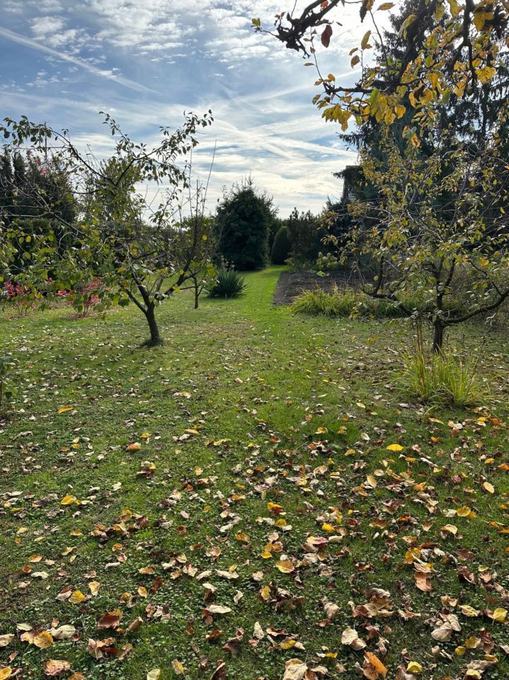 Działka rod Kruszwica. Zdjęcie 3