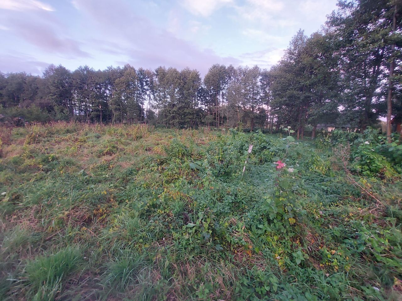 Działka rolno-budowlana Klamry. Zdjęcie 3