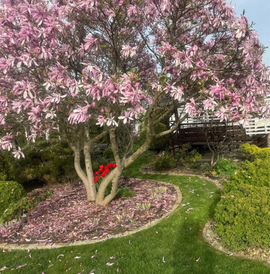 Działka rod Głogów, ul. Adama Mickiewicza. Zdjęcie 7