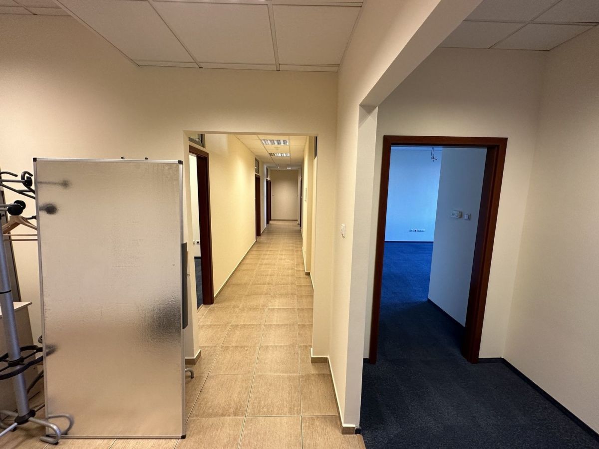 Lokal Wrocław Stare Miasto, ul. Aleksandra Zelwerowicza. Zdjęcie 6