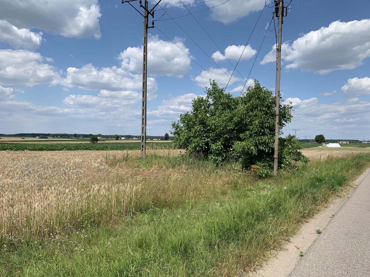 Działka budowlana Wiśniew, ul. Ogrodowa. Zdjęcie 3
