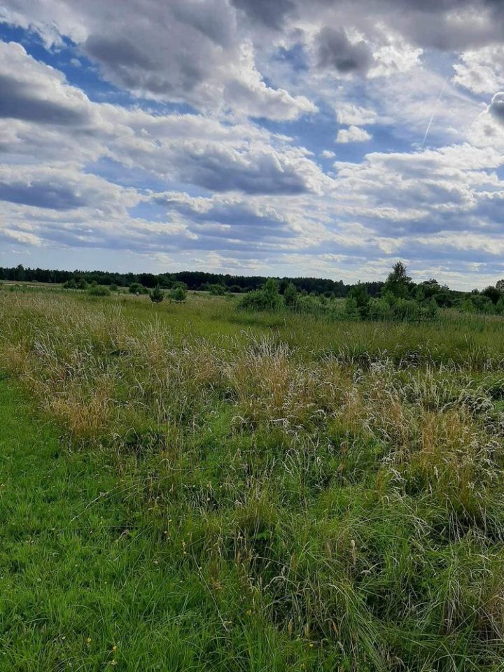 Działka rolno-budowlana Bąk. Zdjęcie 4