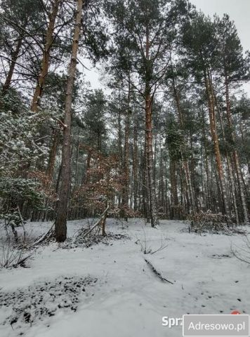 dom wolnostojący, 6 pokoi Zakącie. Zdjęcie 6