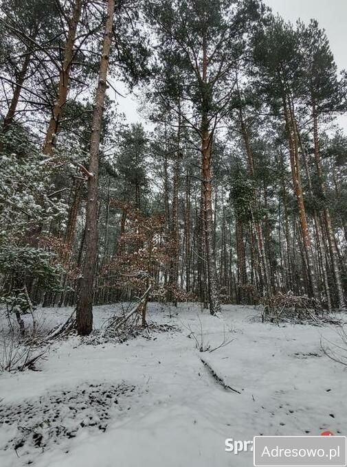 dom wolnostojący, 4 pokoje Zakącie. Zdjęcie 5