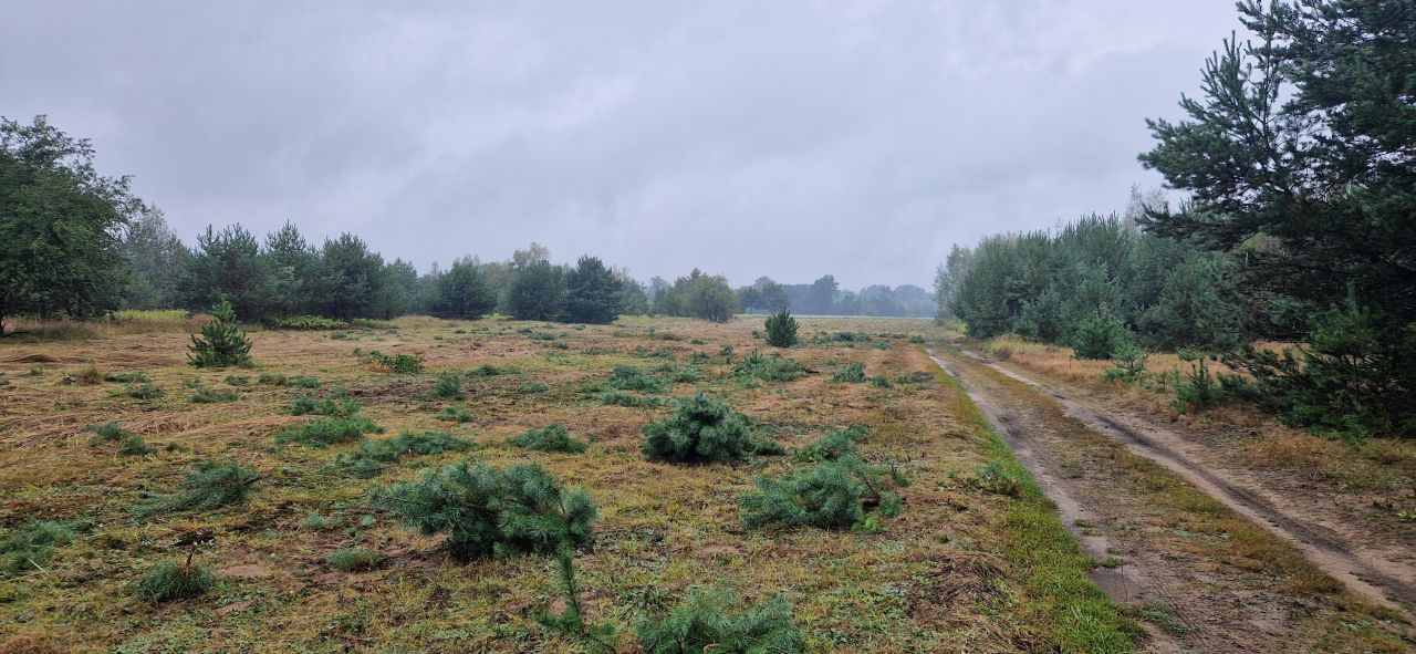 Działka rolno-budowlana Secymin Polski. Zdjęcie 3