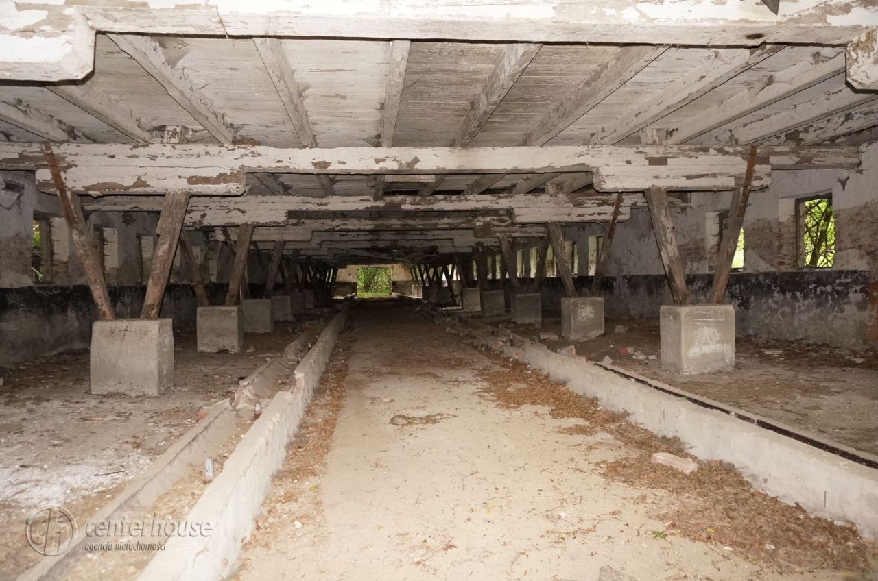 dworek Dąbrowica. Zdjęcie 31