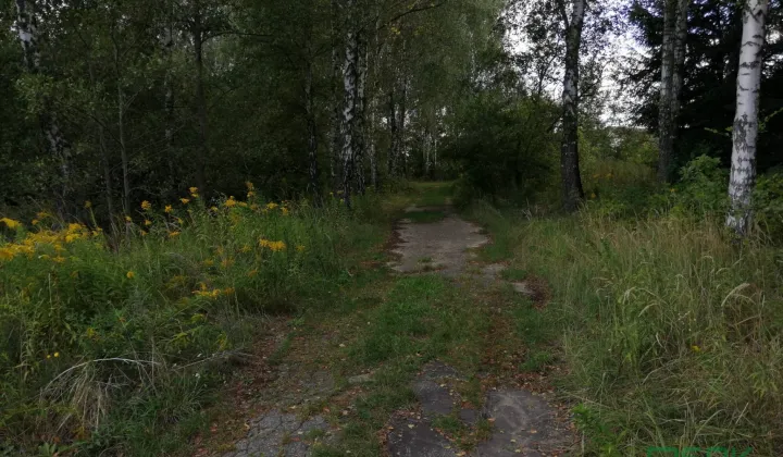 Działka inna Mszana, ul. Wodzisławska