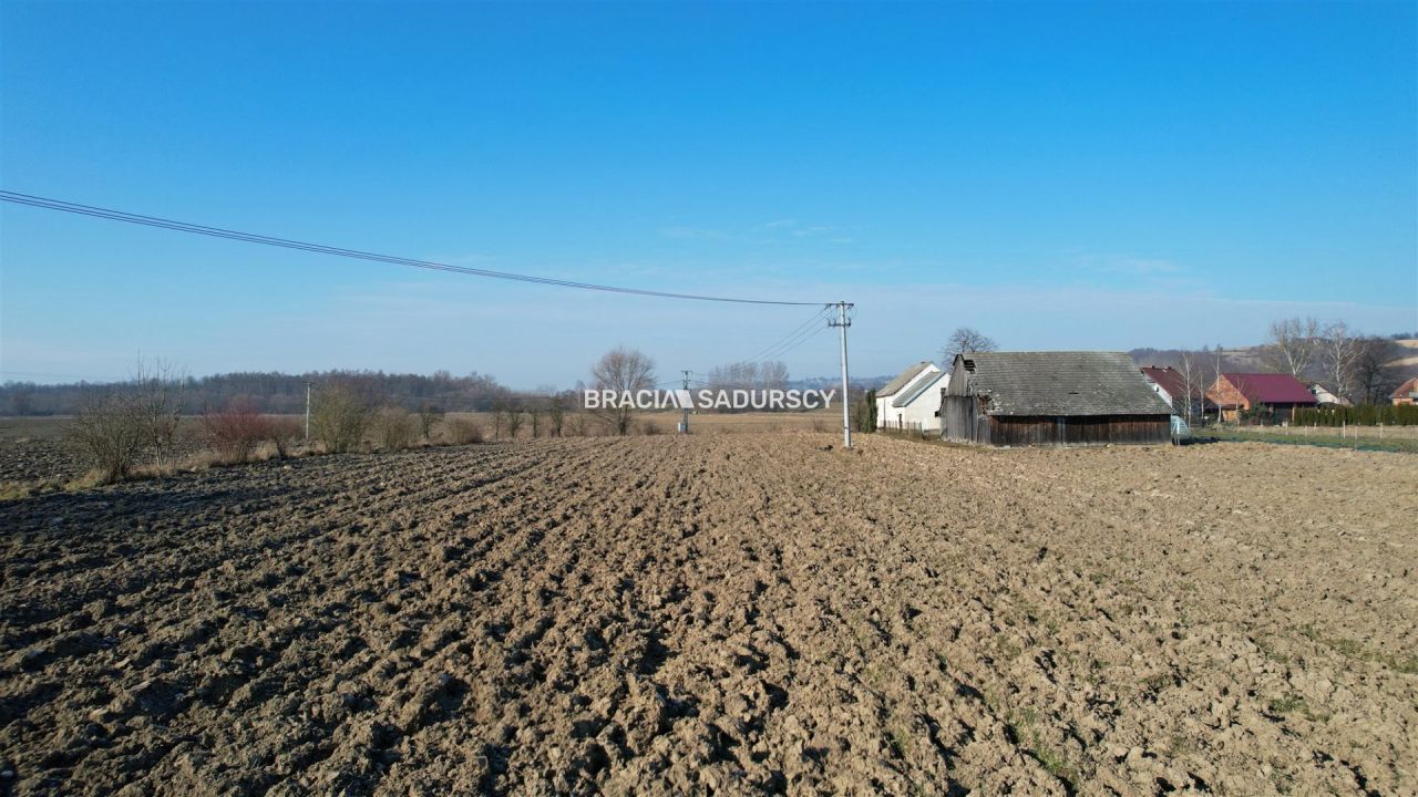 Działka siedliskowa Szczurowa, Popędzyna. Zdjęcie 16