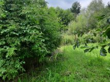 Działka rekreacyjna Minikowo. Zdjęcie 2