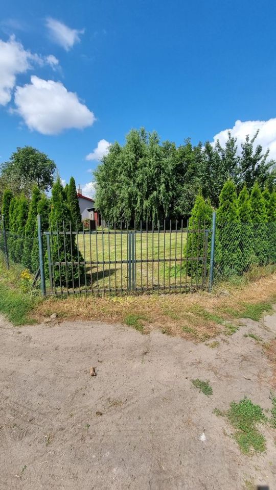 Działka rod Chełmno. Zdjęcie 5