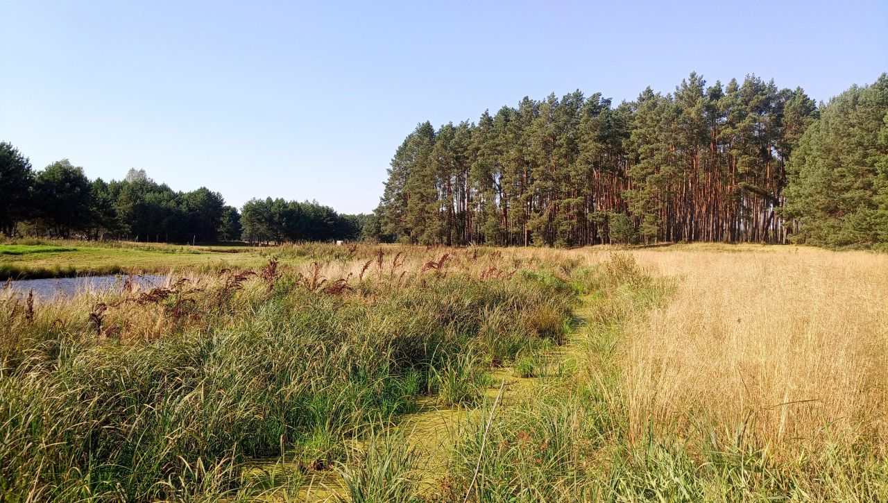 Działka budowlana Maszków, ul. Sulęcińska. Zdjęcie 2