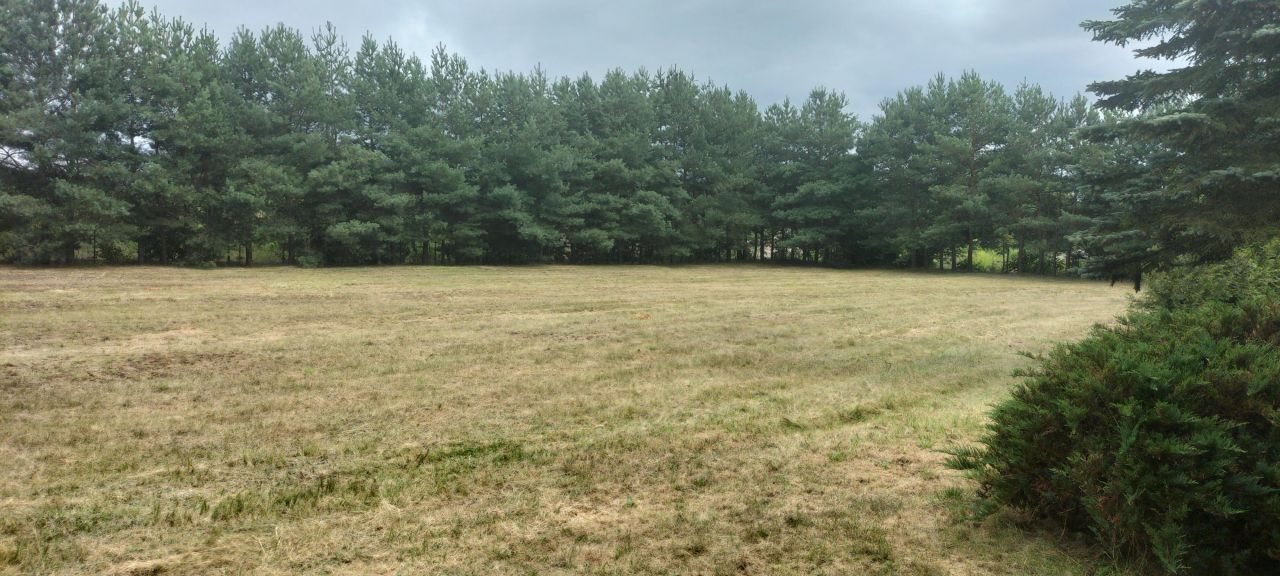 Działka rolno-budowlana Burakowskie. Zdjęcie 11