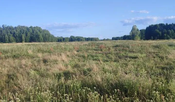 Działka rolna Gredele