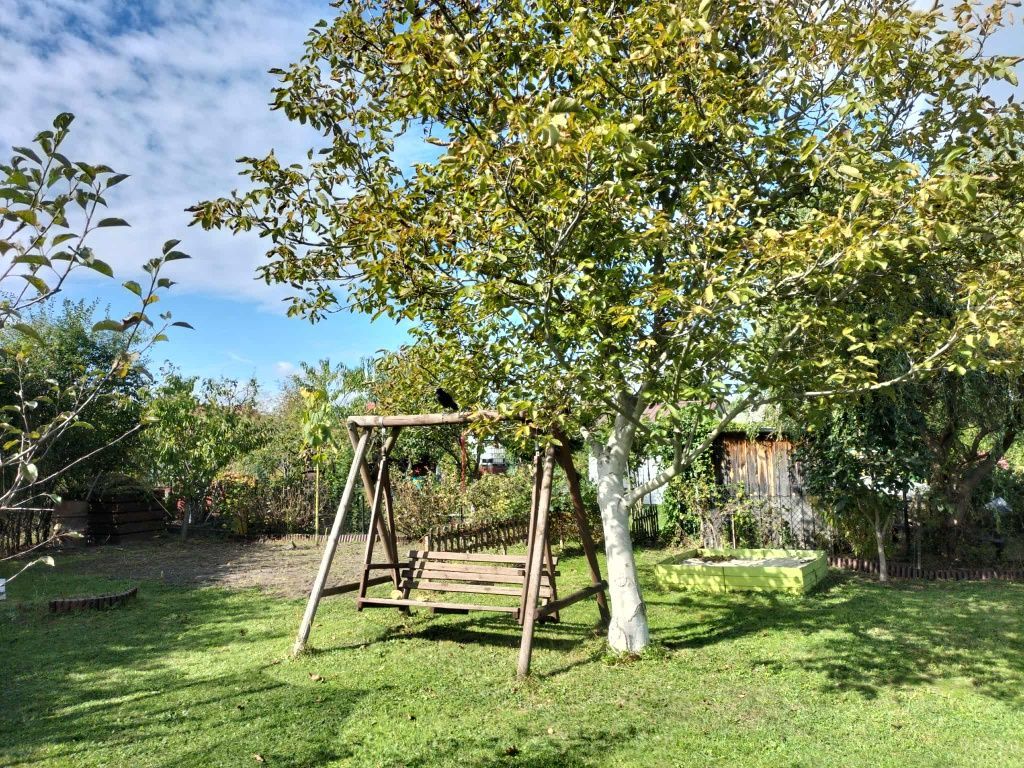 Działka rod Tarnobrzeg Wymysłów. Zdjęcie 6