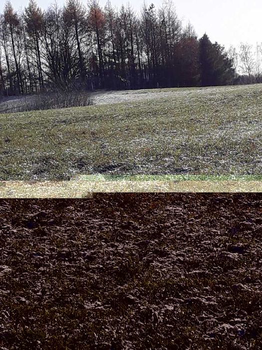 Działka budowlana Kościerzyna-Wybudowanie. Zdjęcie 4