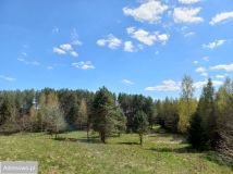 Działka rolna Niebrzydowo Wielkie. Zdjęcie 2