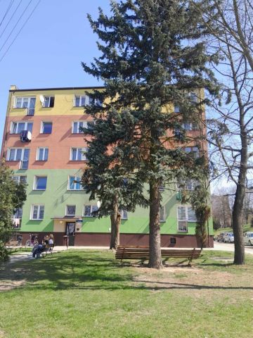 Mieszkanie 2-pokojowe Biała Rawska, ul. Mickiewicza. Zdjęcie 1