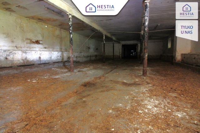 Hala/magazyn Kurcewo. Zdjęcie 7