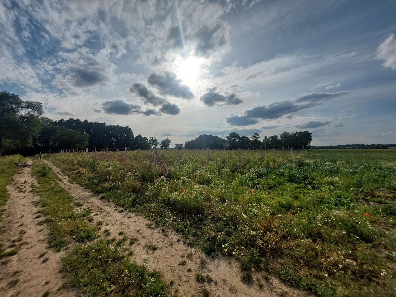 Działka budowlana Gortatowo Gortatowo-Huby, ul. Daleka. Zdjęcie 7