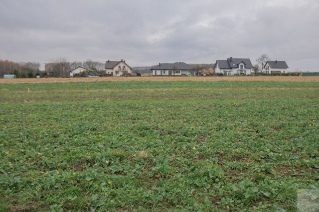 Działka budowlana Morawsko. Zdjęcie 11