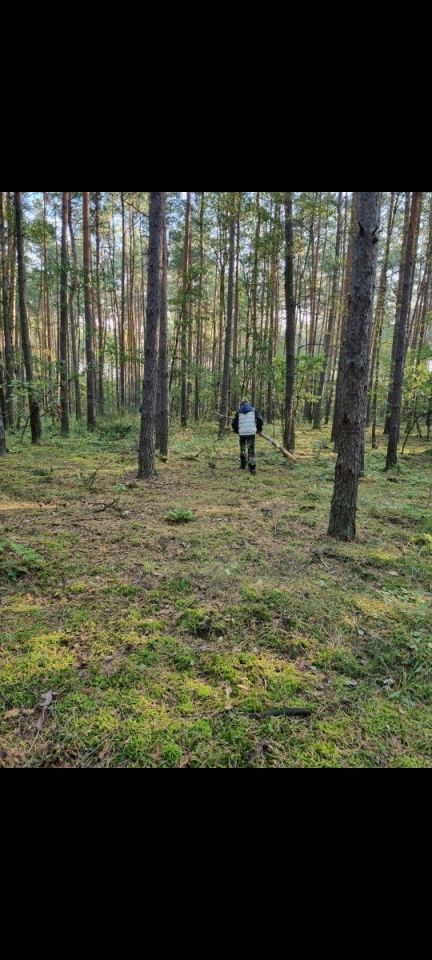 Działka rekreacyjna Stary Strachocin. Zdjęcie 5