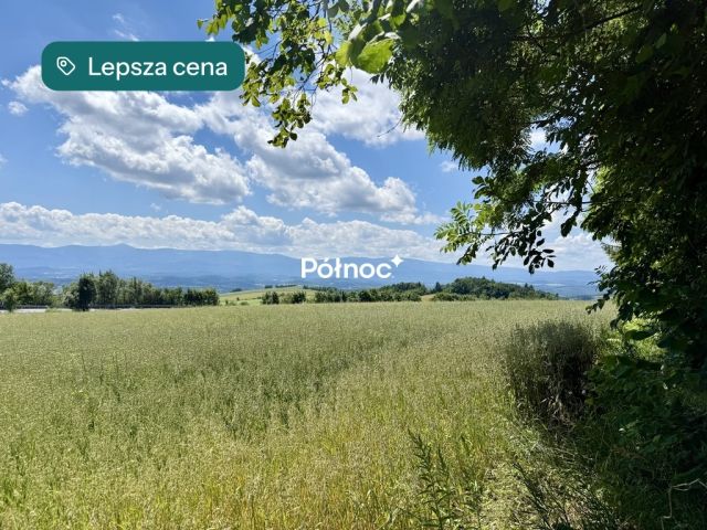 Działka budowlana Dziwiszów. Zdjęcie 2