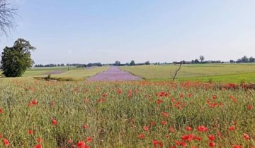 Działka budowlana Giewartów