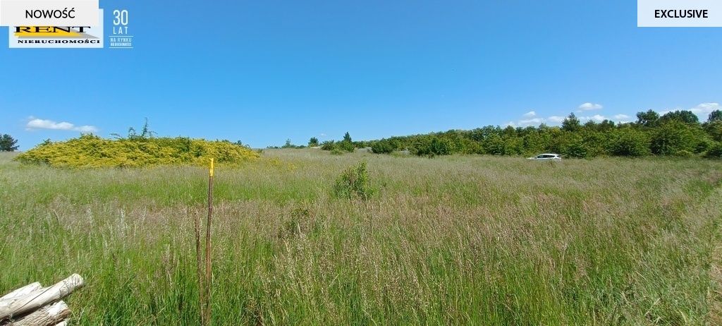 Działka rekreacyjna Płocin. Zdjęcie 14