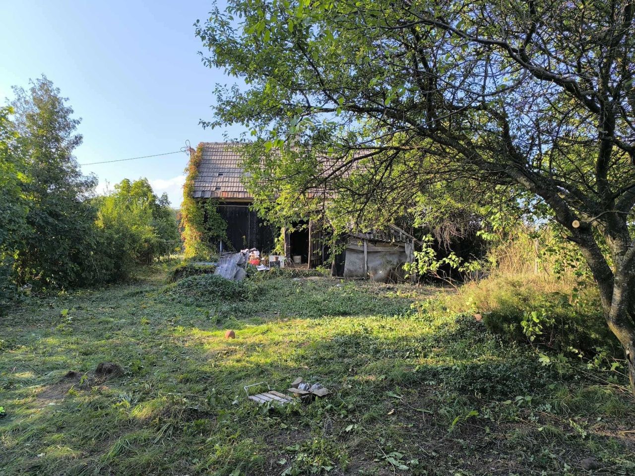 Działka rolno-budowlana Kalinówka Kościelna. Zdjęcie 6