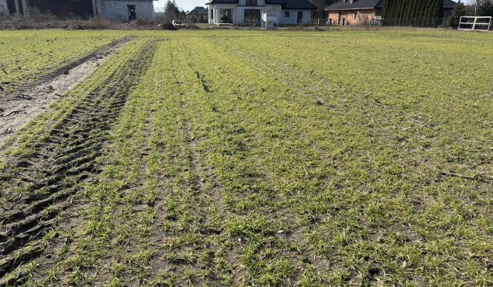 Działka budowlana Wierzbica, ul. Leśna