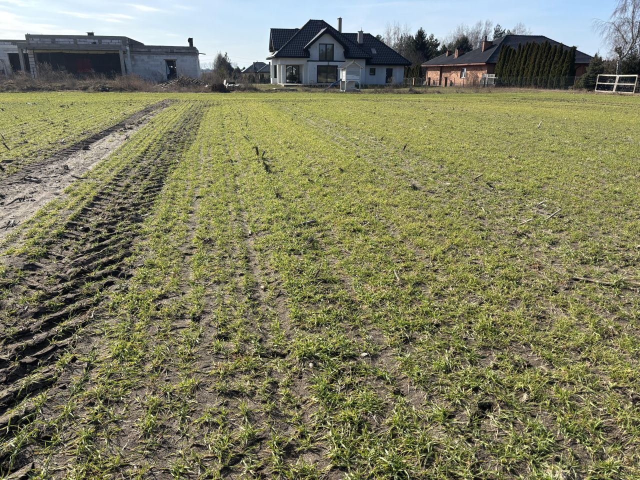 Działka budowlana Wierzbica, ul. Leśna. Zdjęcie 1