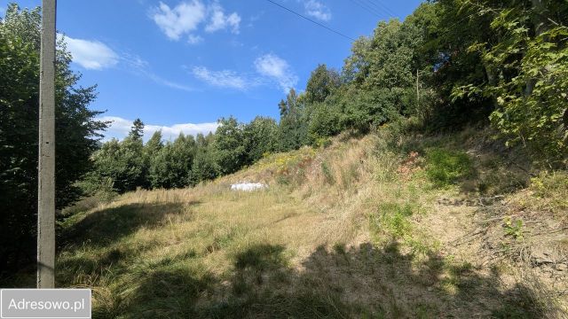 dom wolnostojący, 5 pokoi Dziwiszów, ul. Karkonoska. Zdjęcie 2