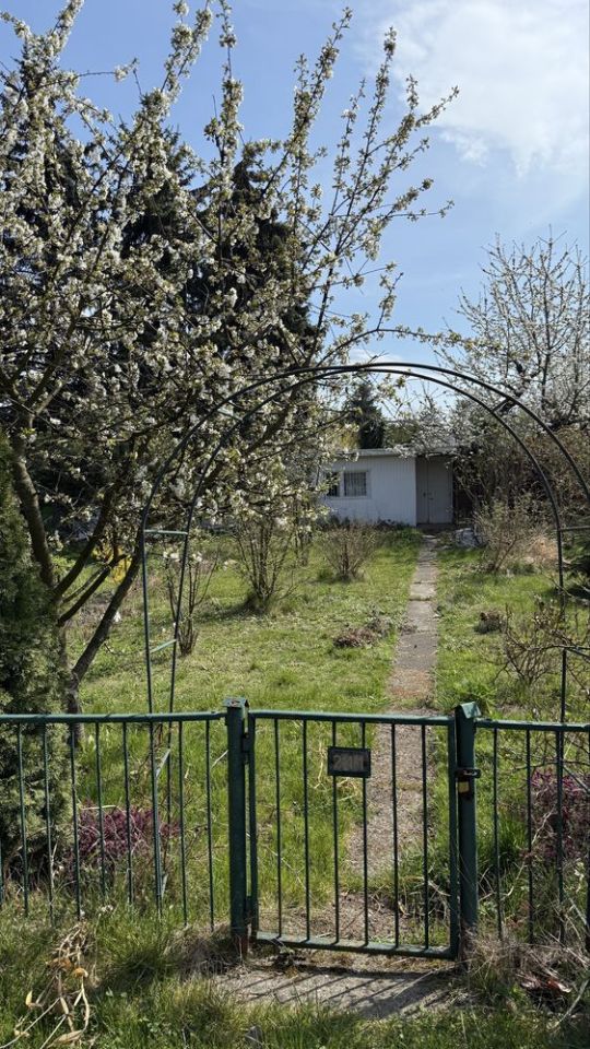 Działka rod Kalisz. Zdjęcie 3