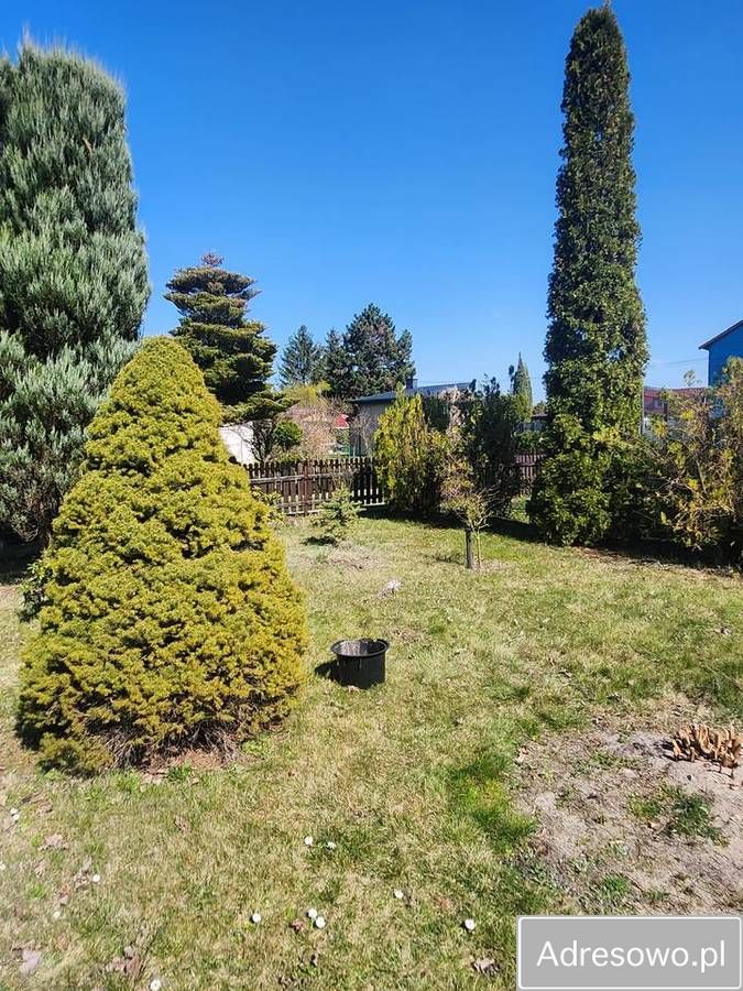 Działka rod Szałe. Zdjęcie 4