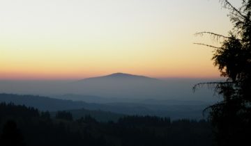 Działka rolna Rzepiska Bryjów Potok, ul. Potok Bryjów