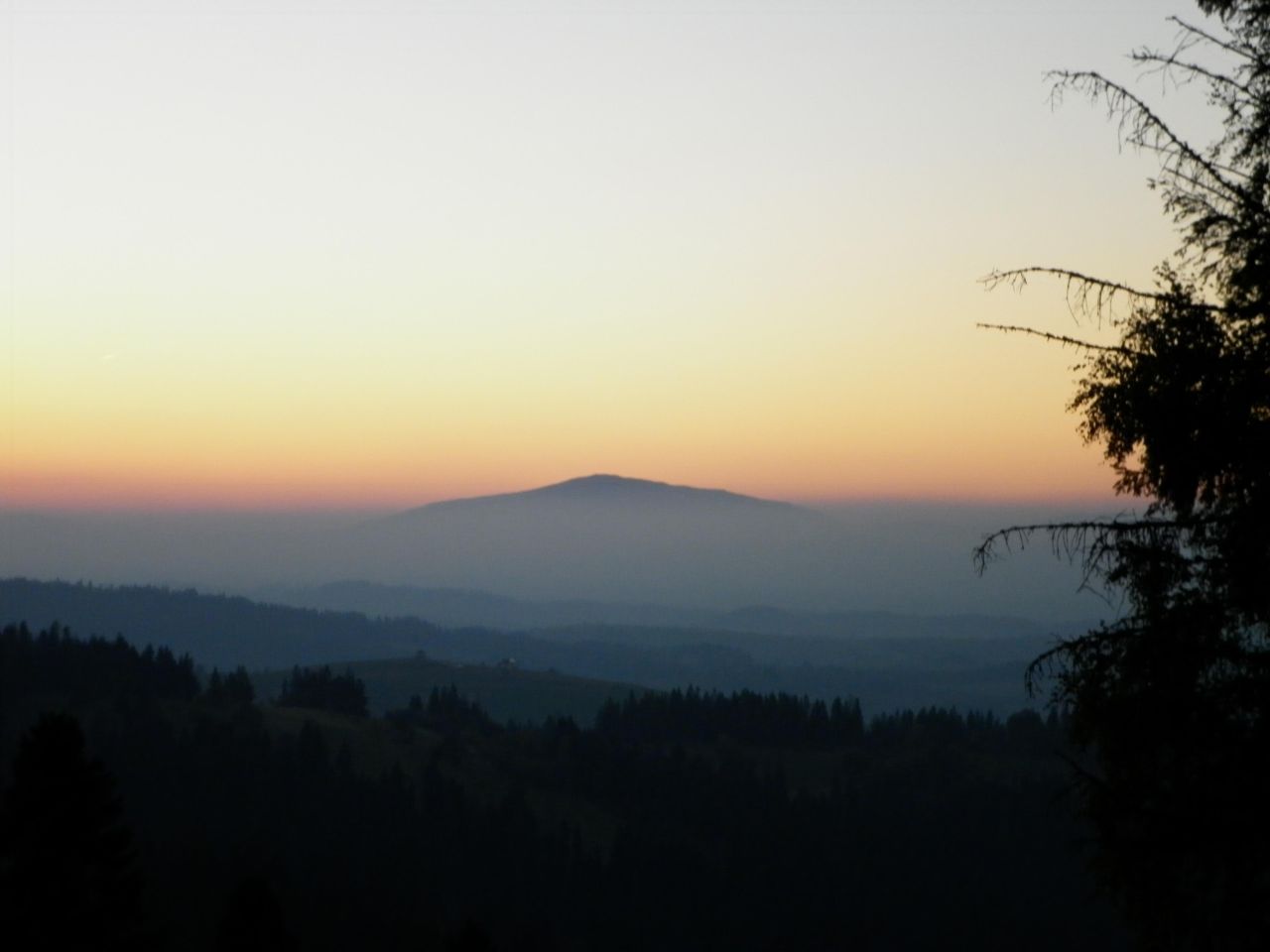 Działka rolna Rzepiska Bryjów Potok, ul. Potok Bryjów